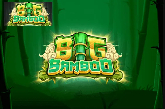 bigbamboo